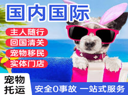 临汾尧都机场货运国际宠物托运 【国